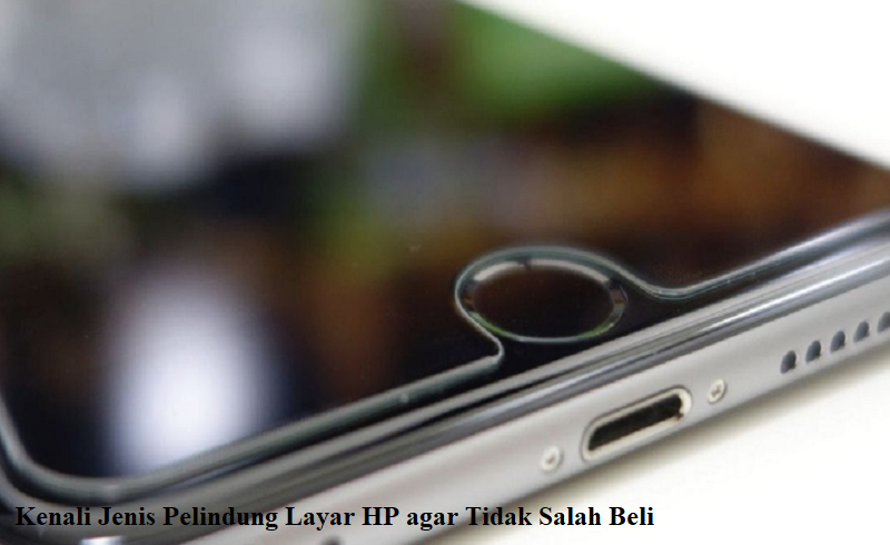 pelindung layar hp